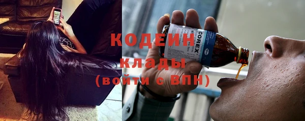 шишки Богородицк