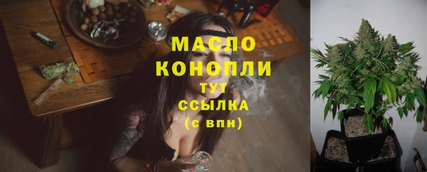 стаф Семилуки