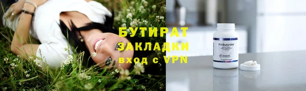 шишки Богородицк