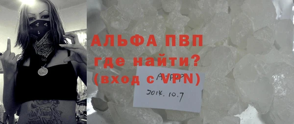шишки Богородицк