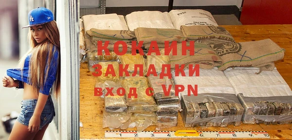 шишки Богородицк